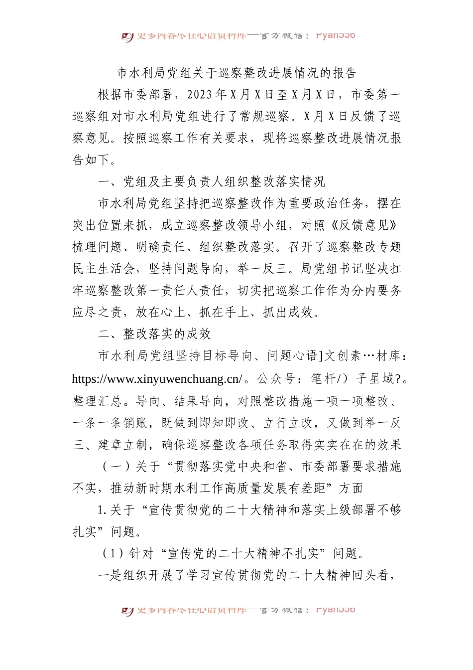市水利局党组关于巡察整改进展情况的报告.docx_第1页