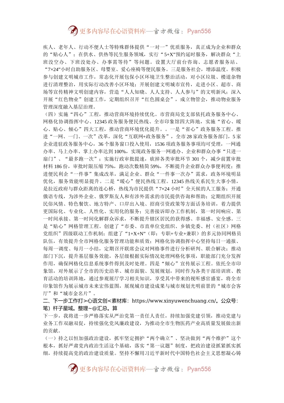 市营商环境局党支部书记2024年履行全面从严治党“一岗双责”述职述廉报告.docx_第2页