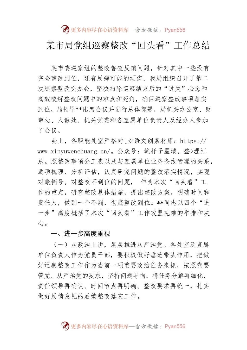 市局党组巡察整改“回头看”工作总结.docx_第1页