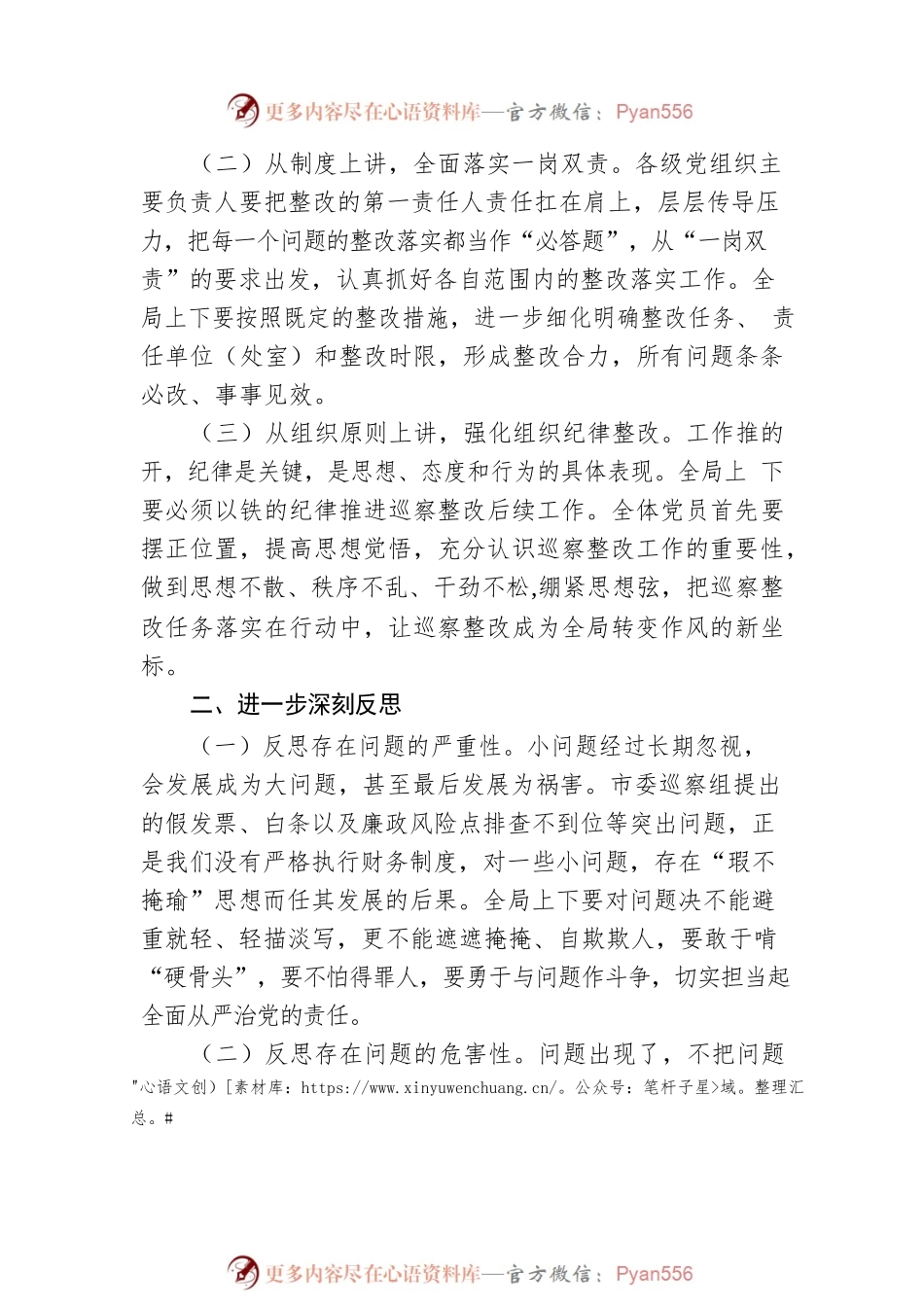 市局党组巡察整改“回头看”工作总结.docx_第2页
