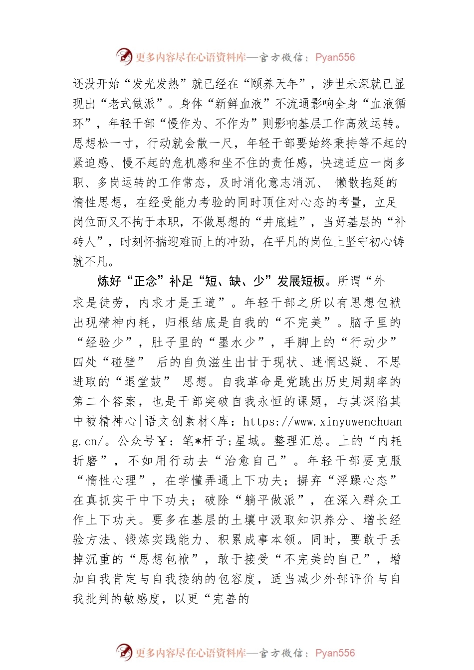 年轻干部应以“正念”破“杂念”.docx_第2页