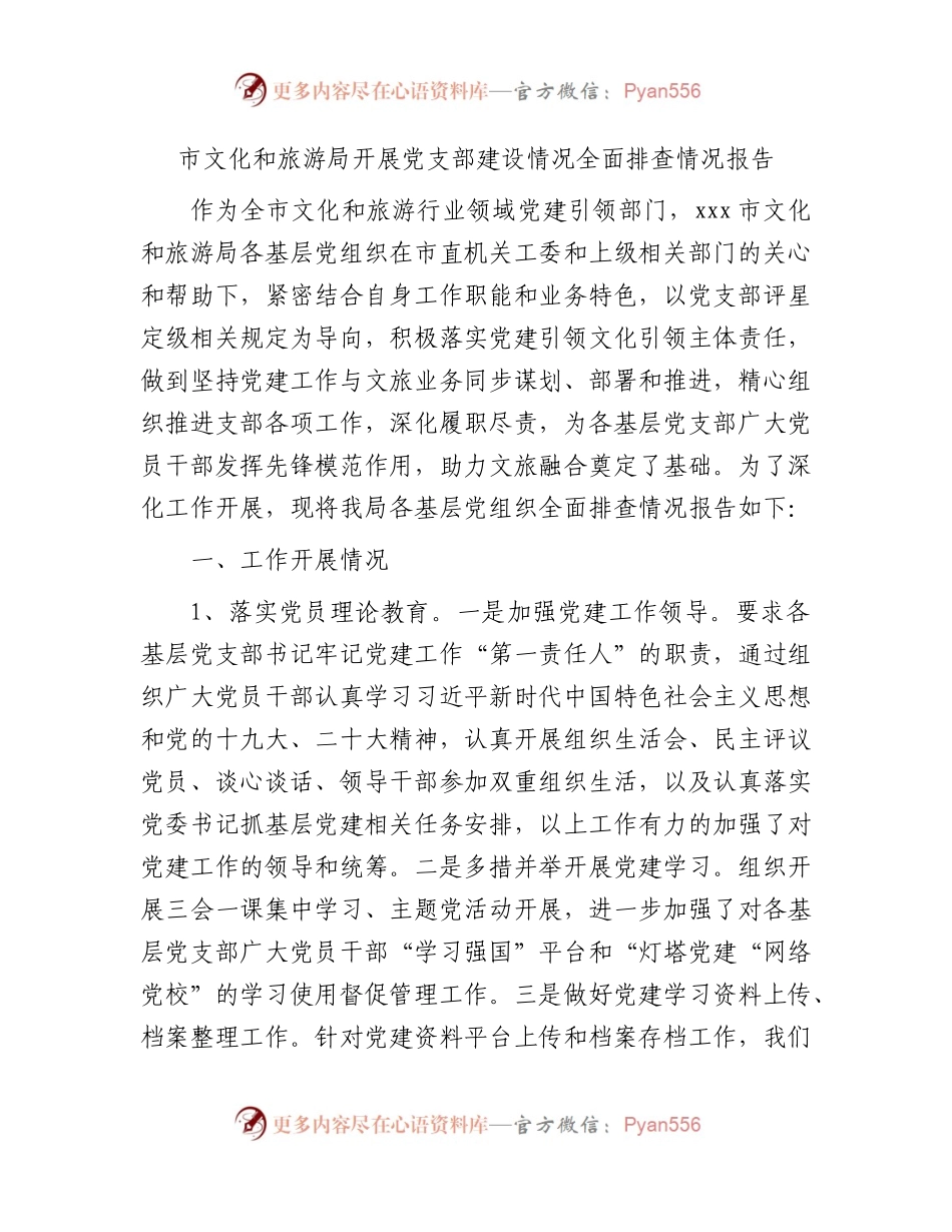 市文旅局开展党支部建设情况全面排查情况报告.docx_第1页