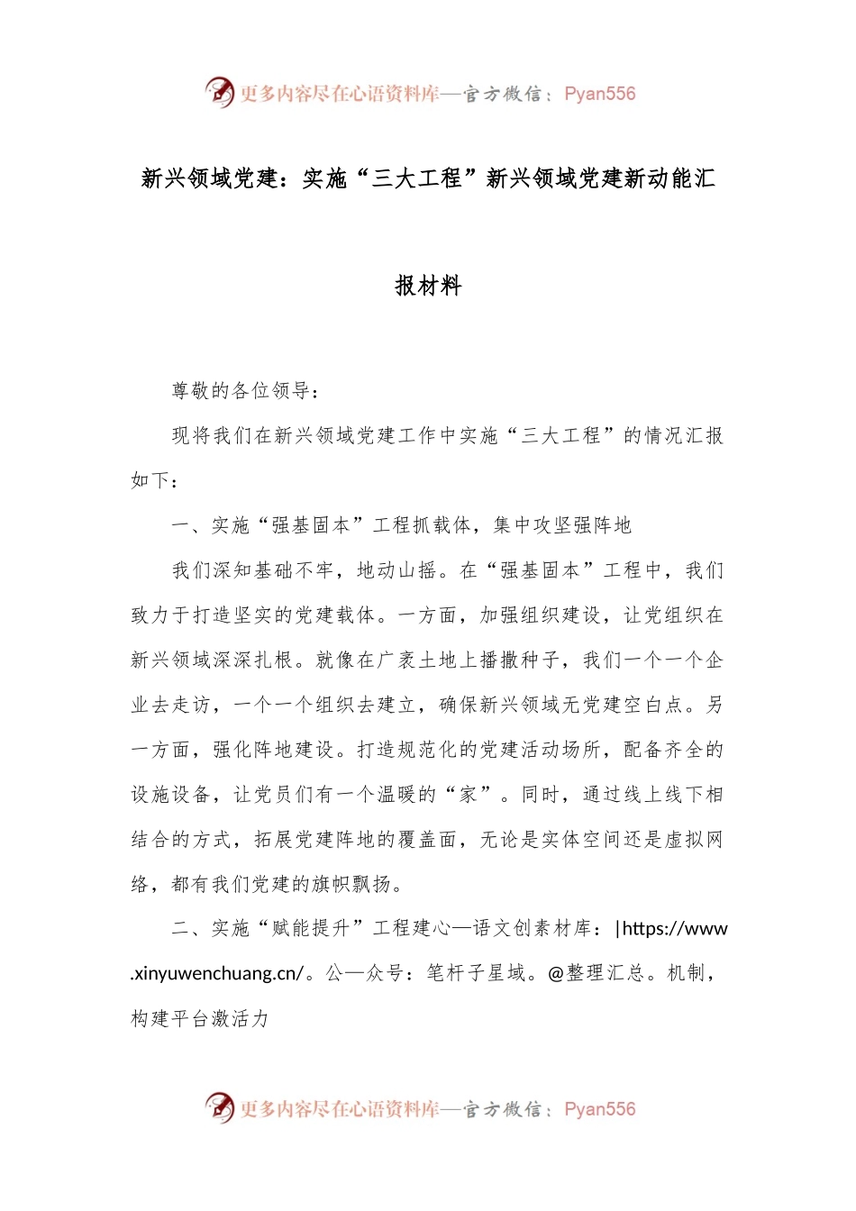 新兴领域党建：实施“三大工程”新兴领域党建新动能汇报材料.docx_第1页