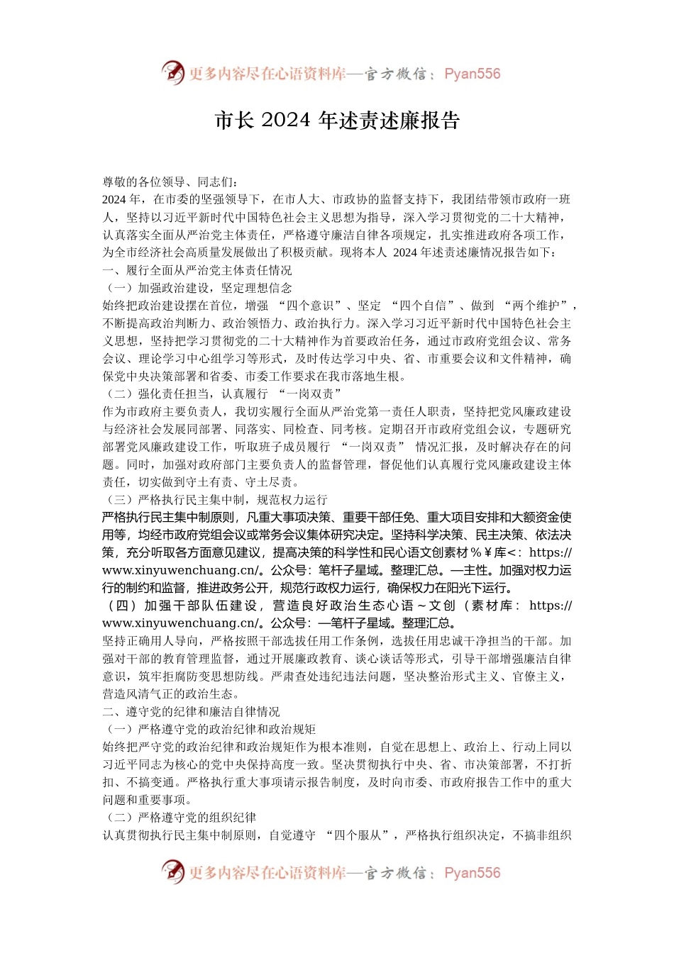 市长 2024 年述责述廉报告.docx_第1页