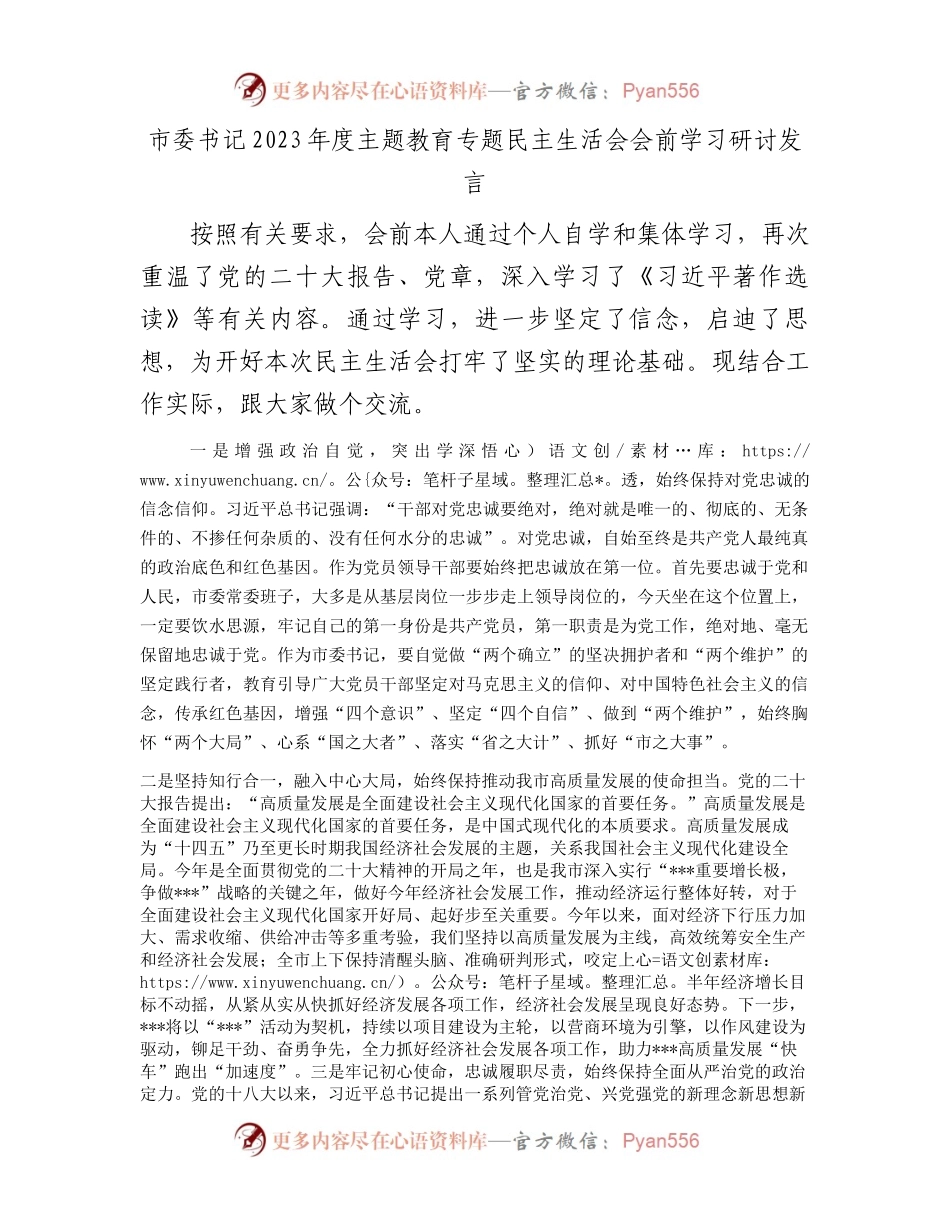 市委书记2023年度主题教育专题民主生活会会前学习研讨发言(1).docx_第1页