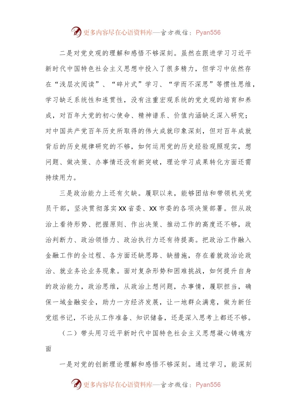 市金融办党组书记2022年度（六个带头）民主生活会对照检查材料.docx_第2页