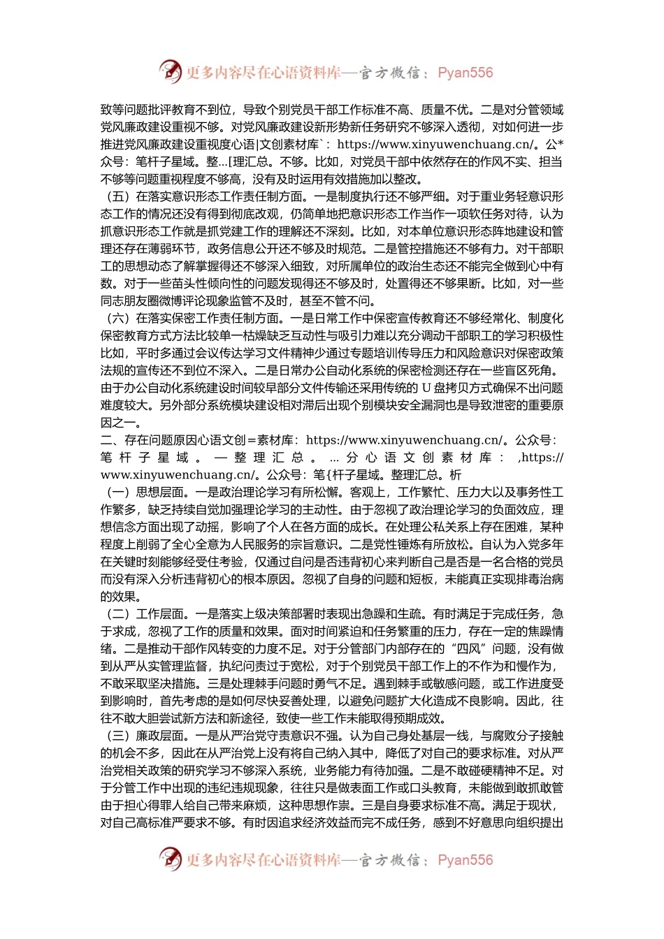 市直单位主要领导2024年民主生活会个人对照检查发言材料（四个带头）.docx_第2页
