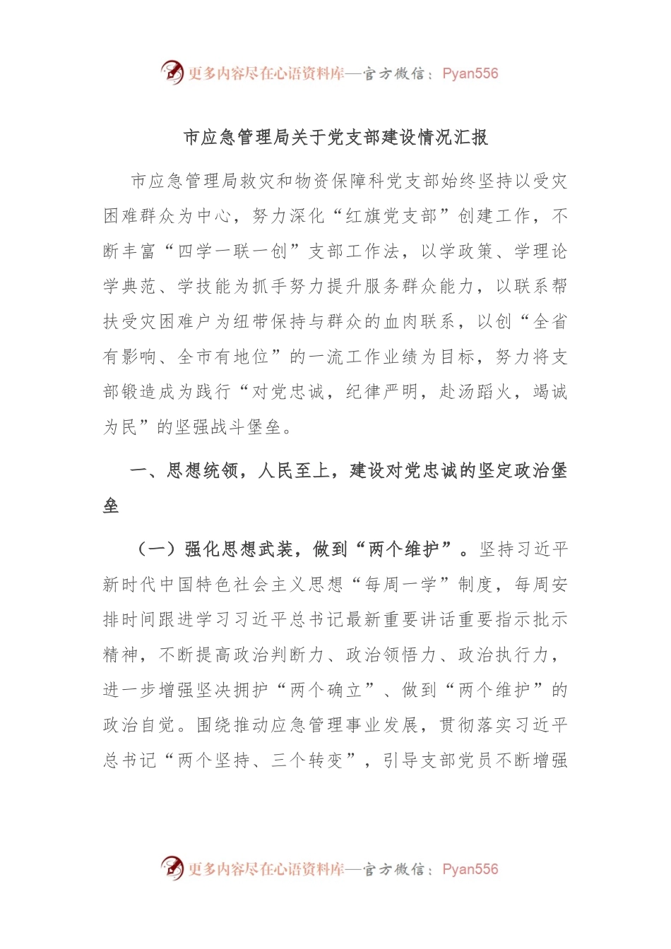 市应急管理局关于党支部建设情况汇报.docx_第1页