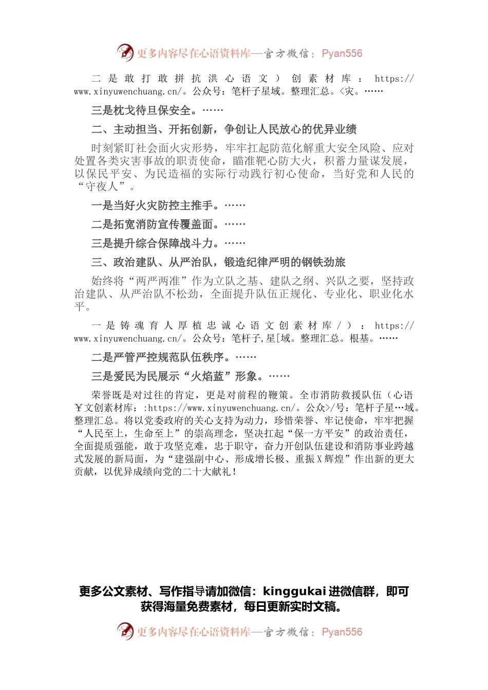 市消防救援支队典型经验汇报材料.docx_第2页