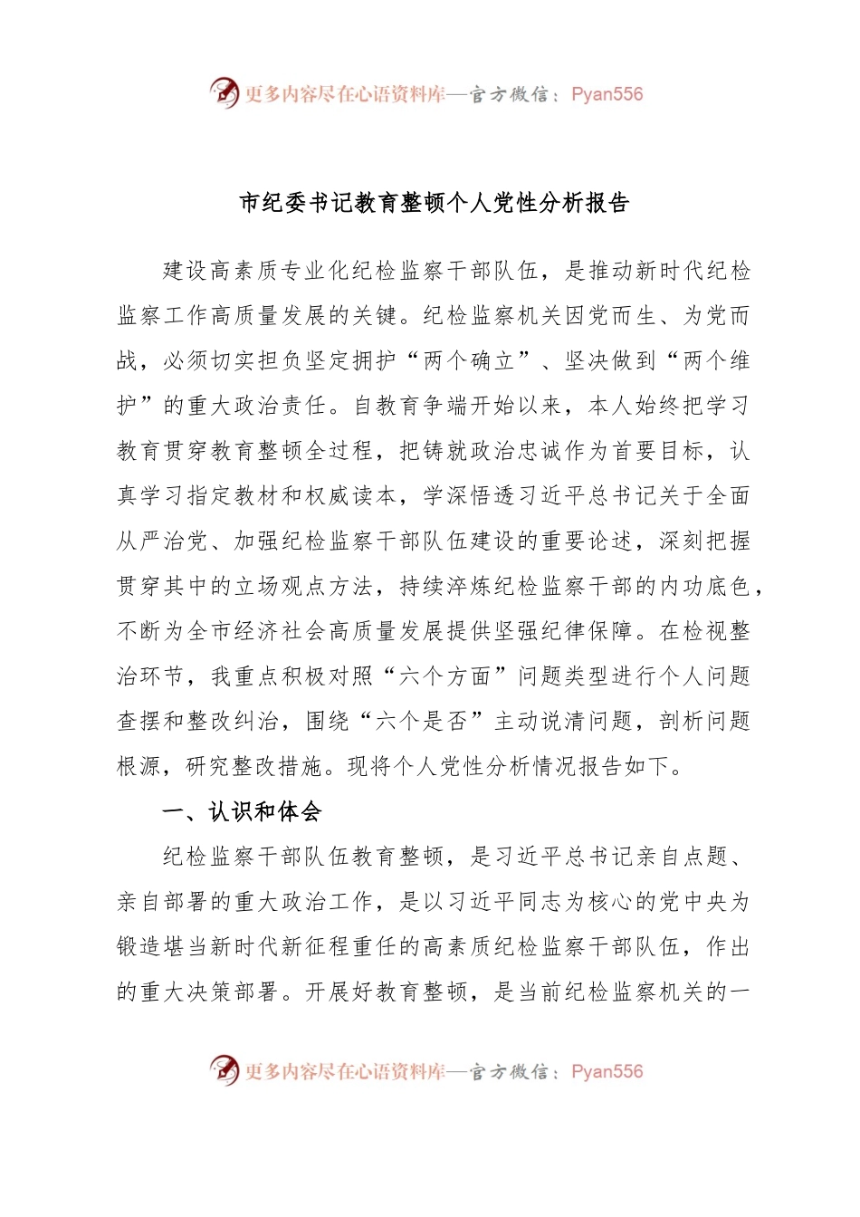 市纪委书记教育整顿个人党性分析报告.docx_第1页