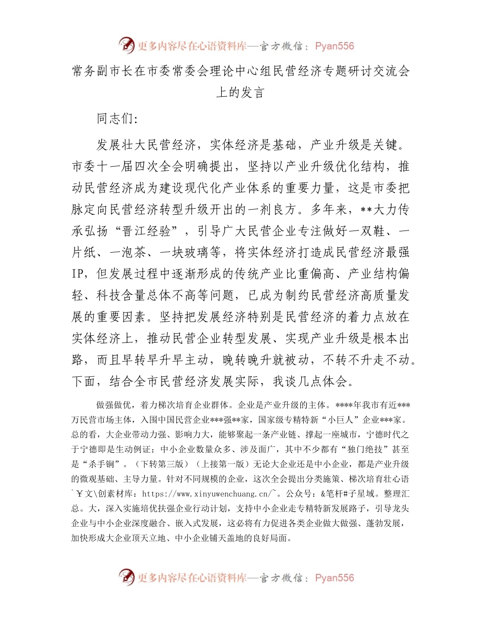 常务副市长在市委常委会理论中心组民营经济专题研讨交流会上的发言.docx_第1页
