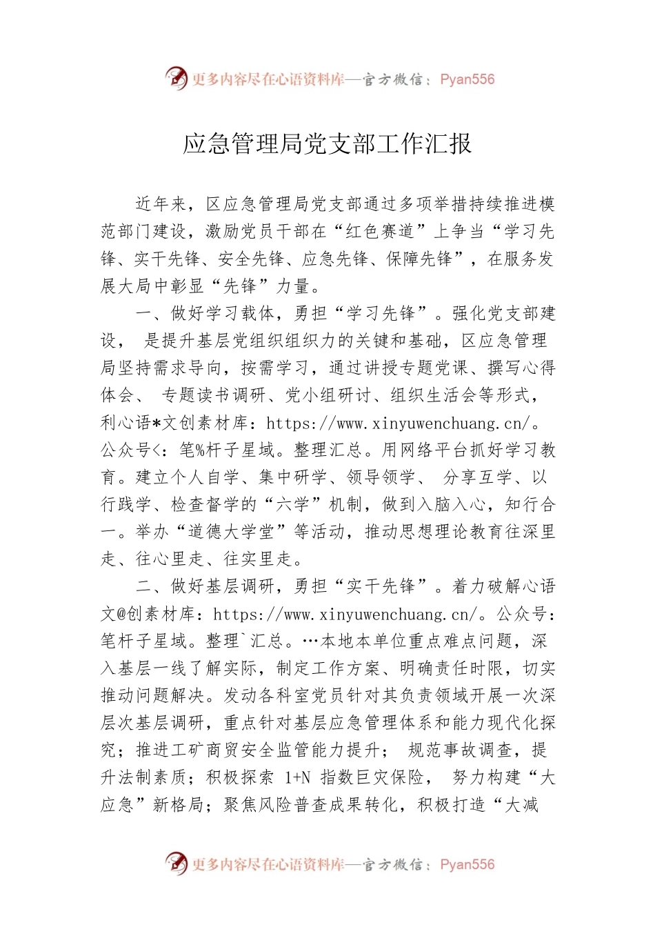 应急管理局党支部工作汇报.docx_第1页