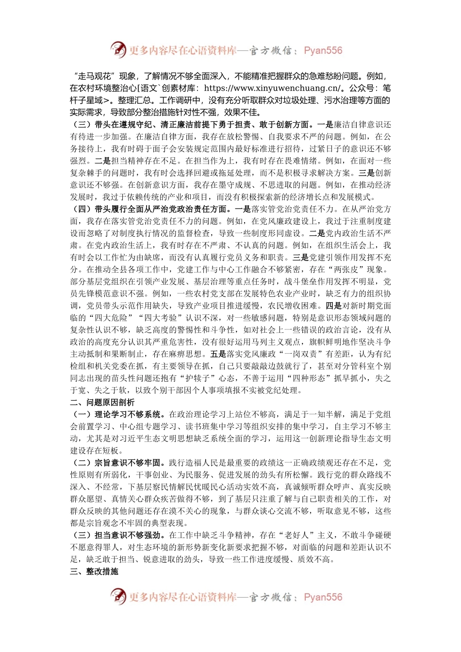 市直单位领导干部2024年度专题民主生活会对照检查材料（四个带头）.docx_第2页