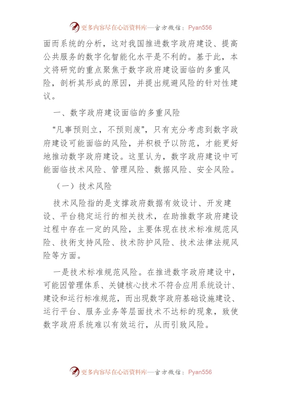 数字政府建设面临的多重风险及其规避策略.docx_第2页