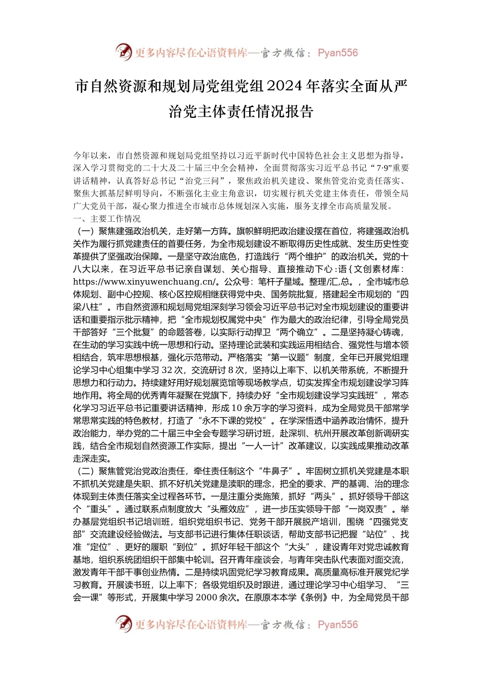 市自然资源和规划局党组党组2024年落实全面从严治党主体责任情况报告.docx_第1页