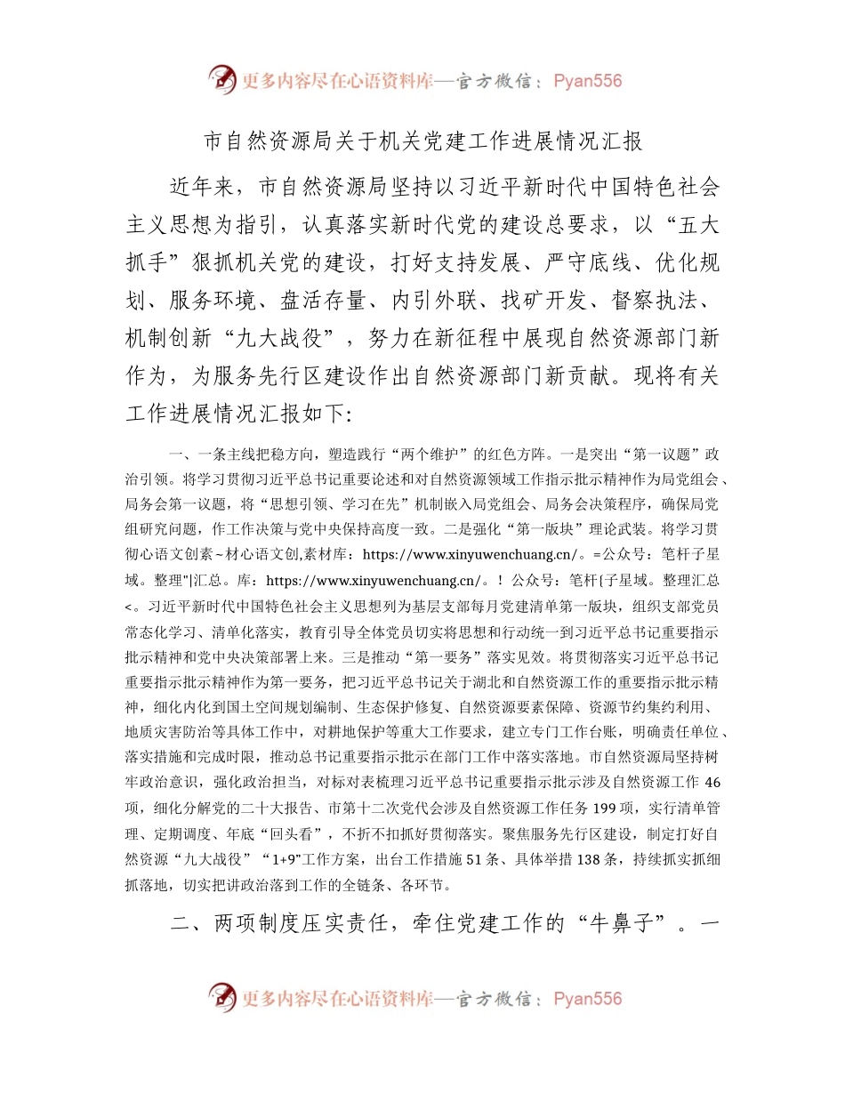 市自然资源系统三年党建工作进展情况总结汇报.docx_第1页