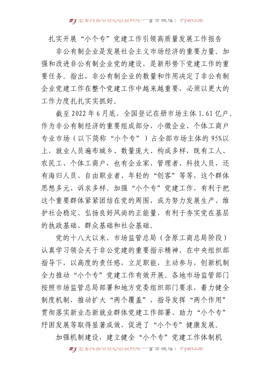 扎实开展“小个专”党建工作引领高质量发展工作报告.docx_第1页