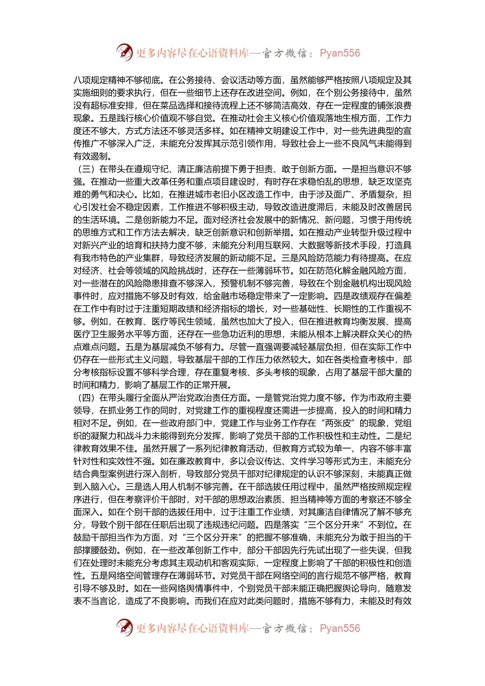 市长关于2024年度民主生活会个人对照检视发言材料.docx_第2页
