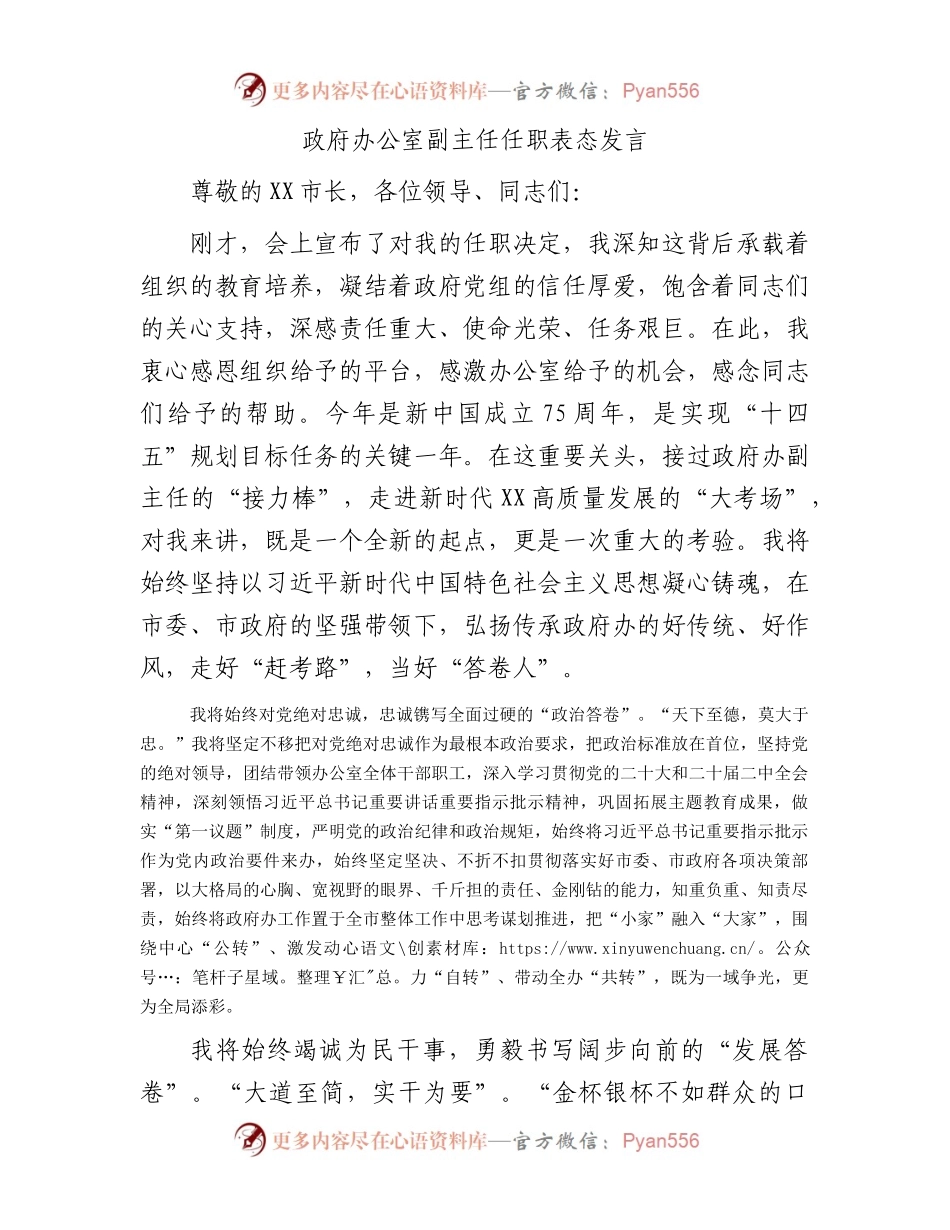 政府办公室副主任任职表态发言.docx_第1页