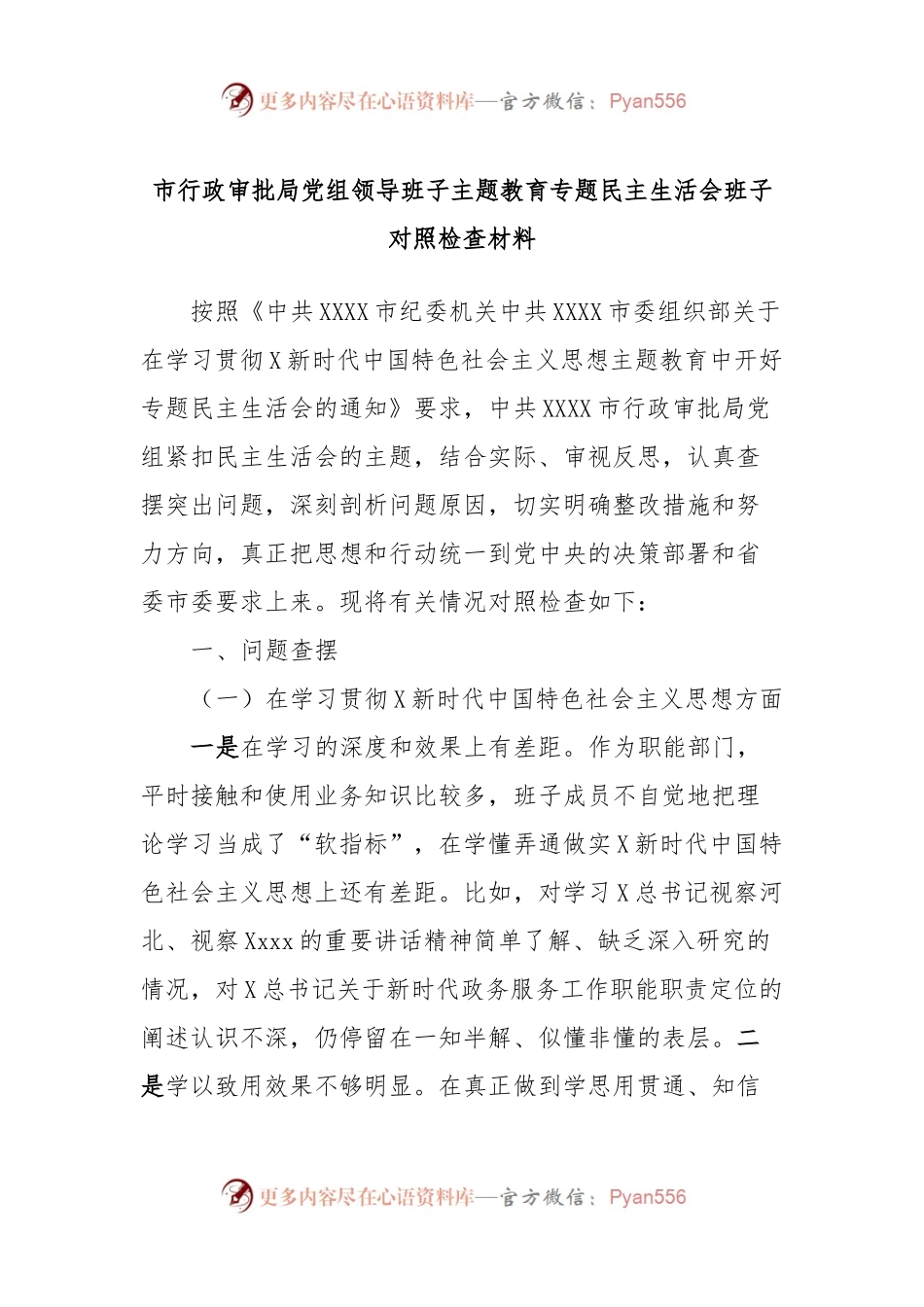 市行政审批局党组领导班子主题教育专题民主生活会班子对照检查材料.docx_第1页