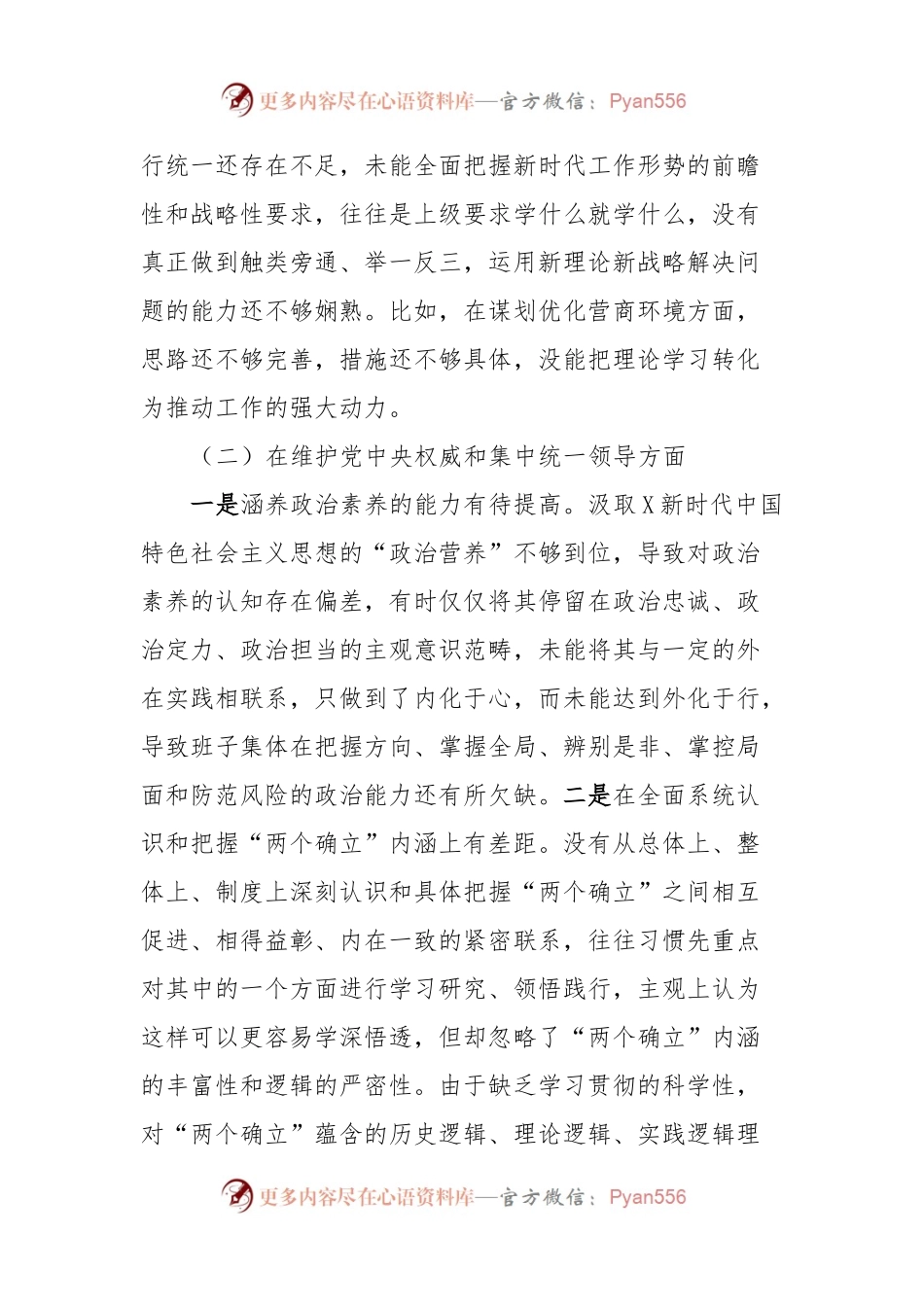 市行政审批局党组领导班子主题教育专题民主生活会班子对照检查材料.docx_第2页