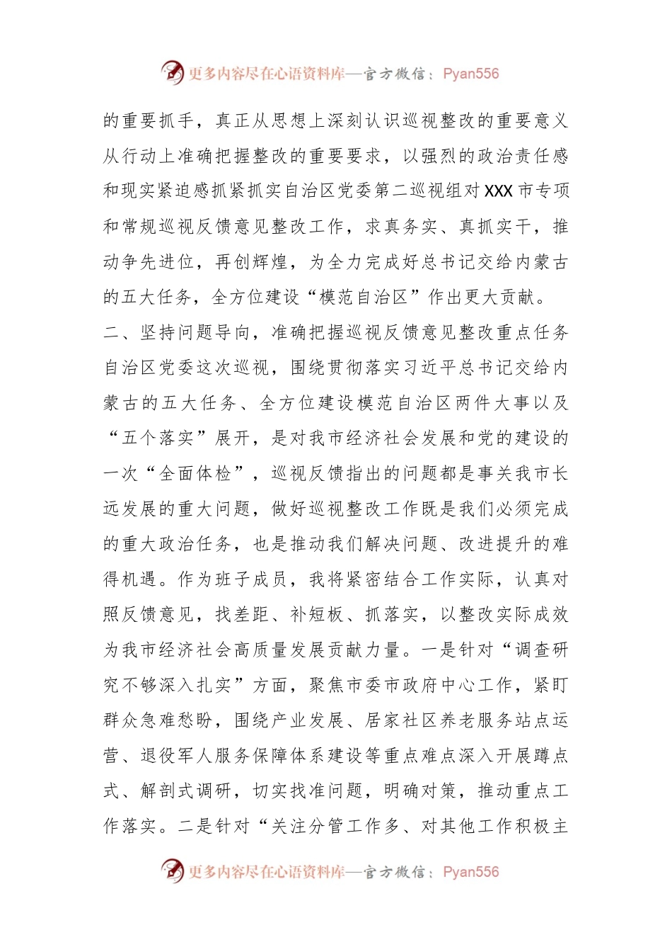 市委理论中心组学习会上关于（巡视整改）发言提纲.docx_第2页