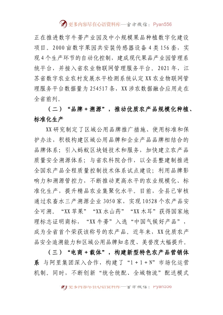 数字经济支持乡村振兴典型材料.docx_第2页