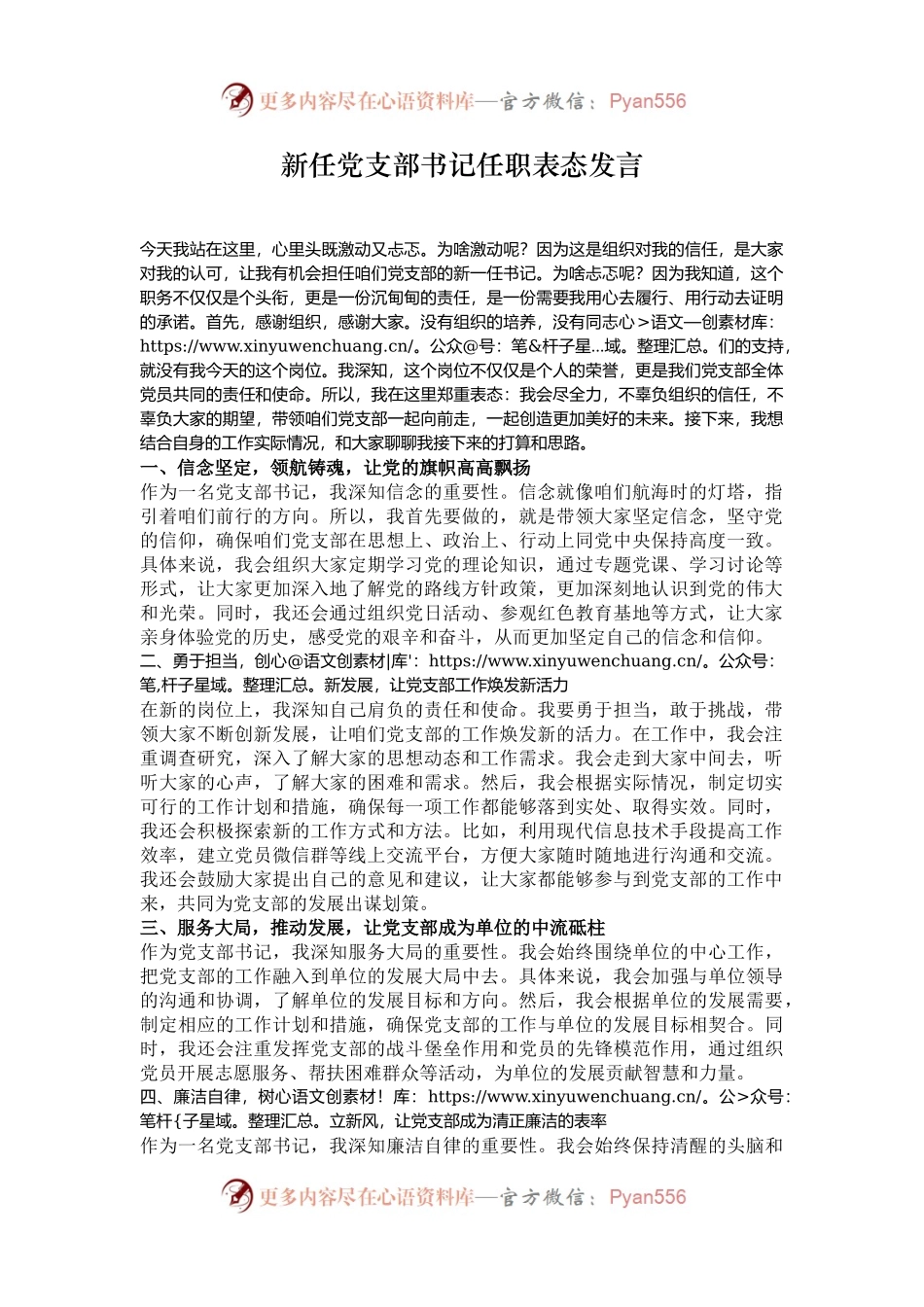新任党支部书记任职表态发言.docx_第1页