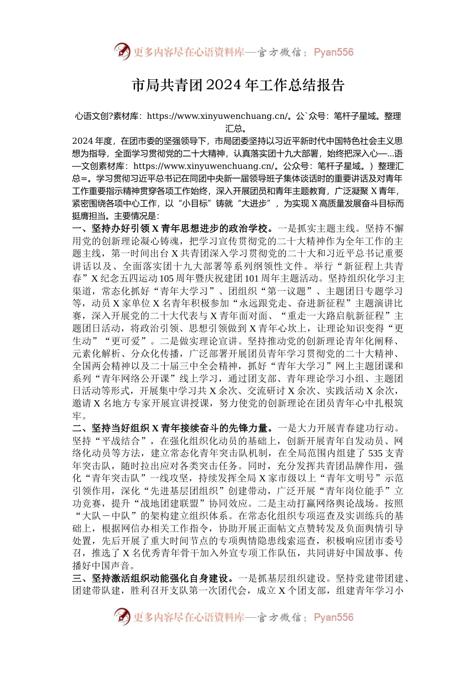 市局共青团2024年工作总结报告.docx_第1页