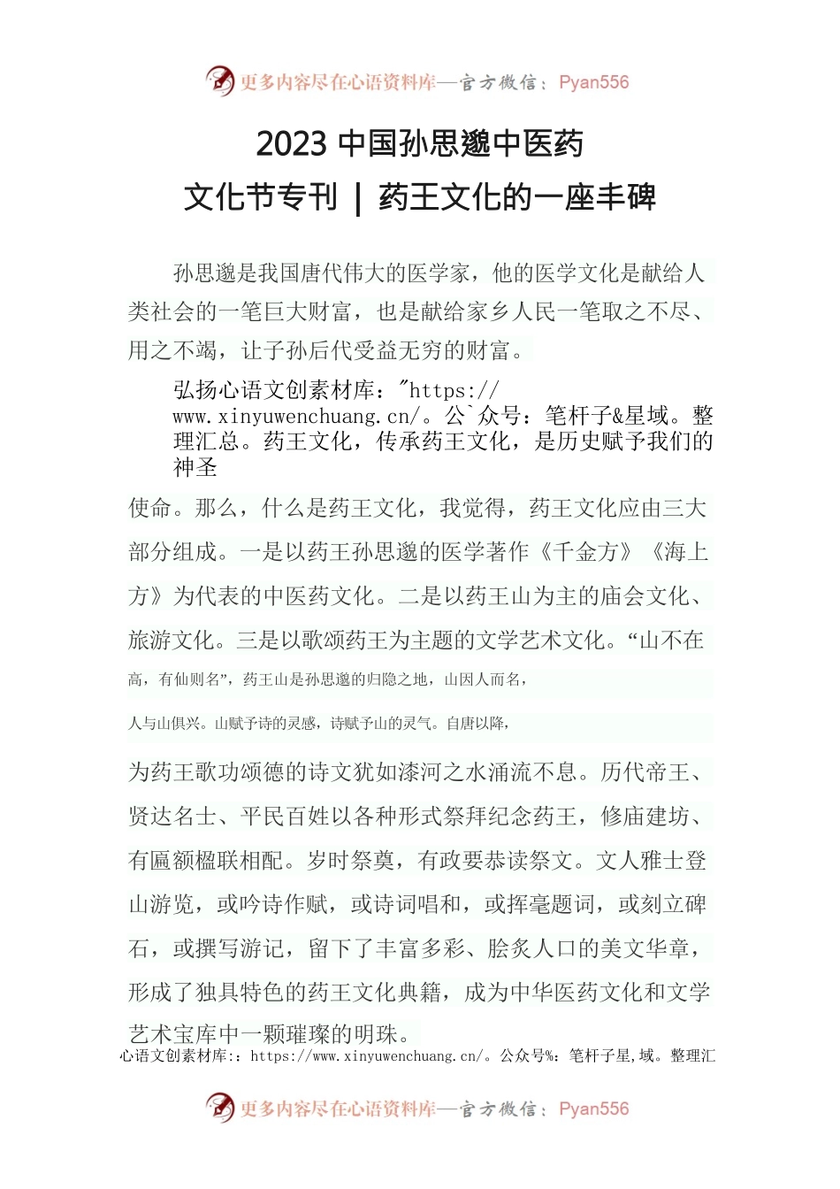 文化节专刊-药王文化的一座丰碑.docx_第1页