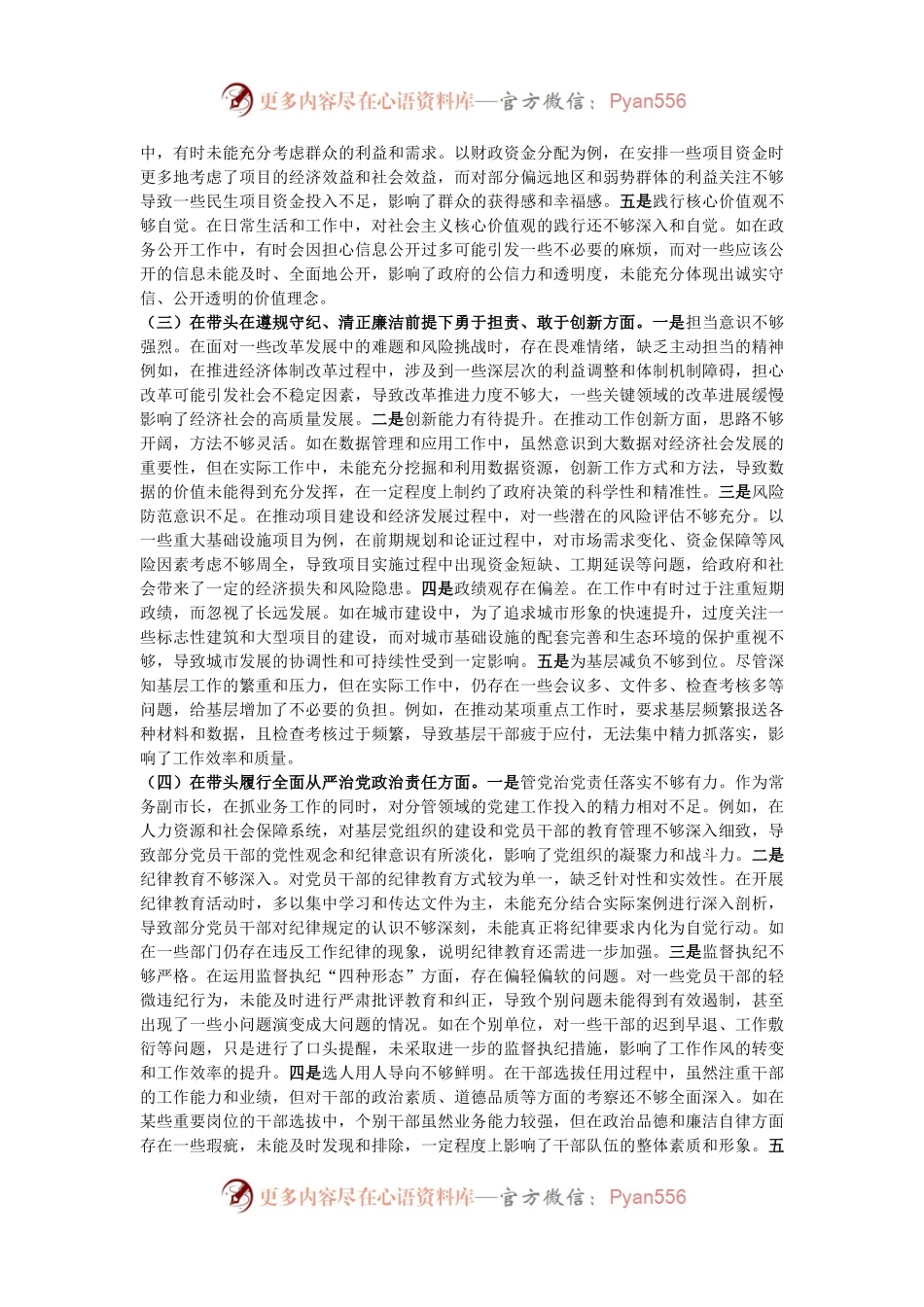 常务副市长关于2024年度民主生活会“四个带头”对照检视发言材料.docx_第2页