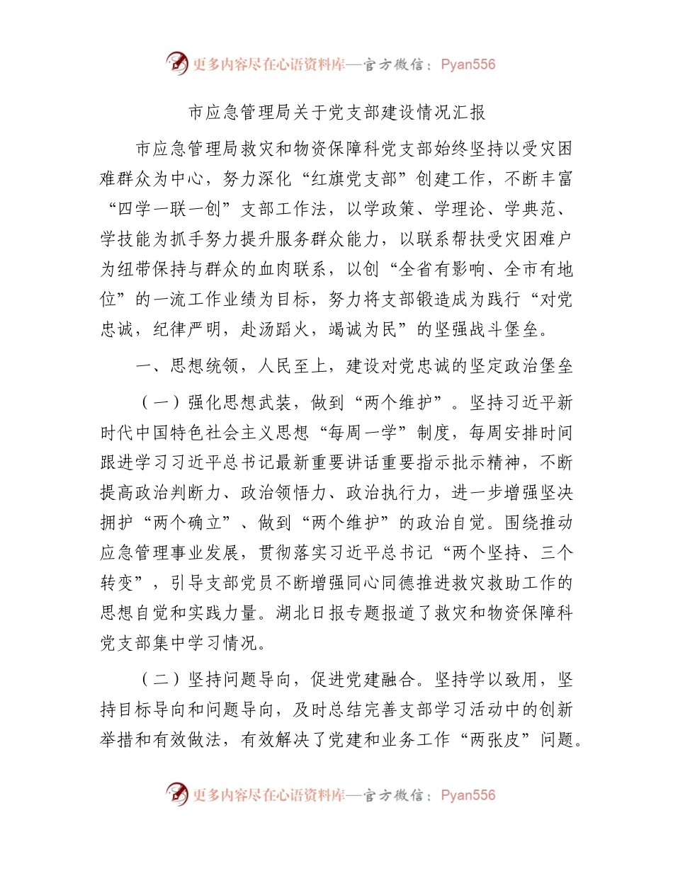 市应急管理系统近年来党支部建设情况总结汇报.docx_第1页