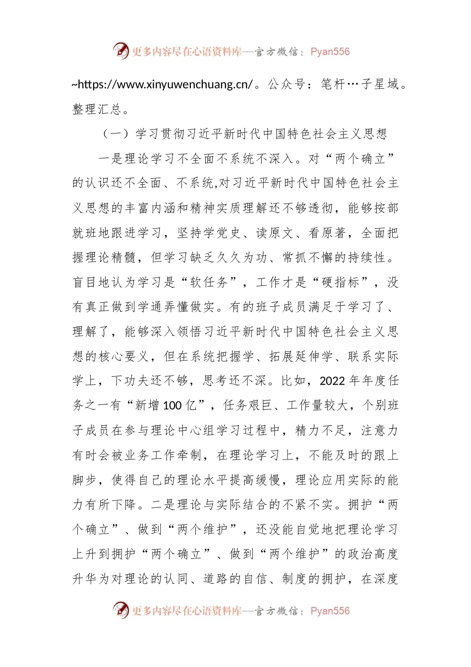 市局领导班子专题民主生活会对照检查材料.docx_第2页
