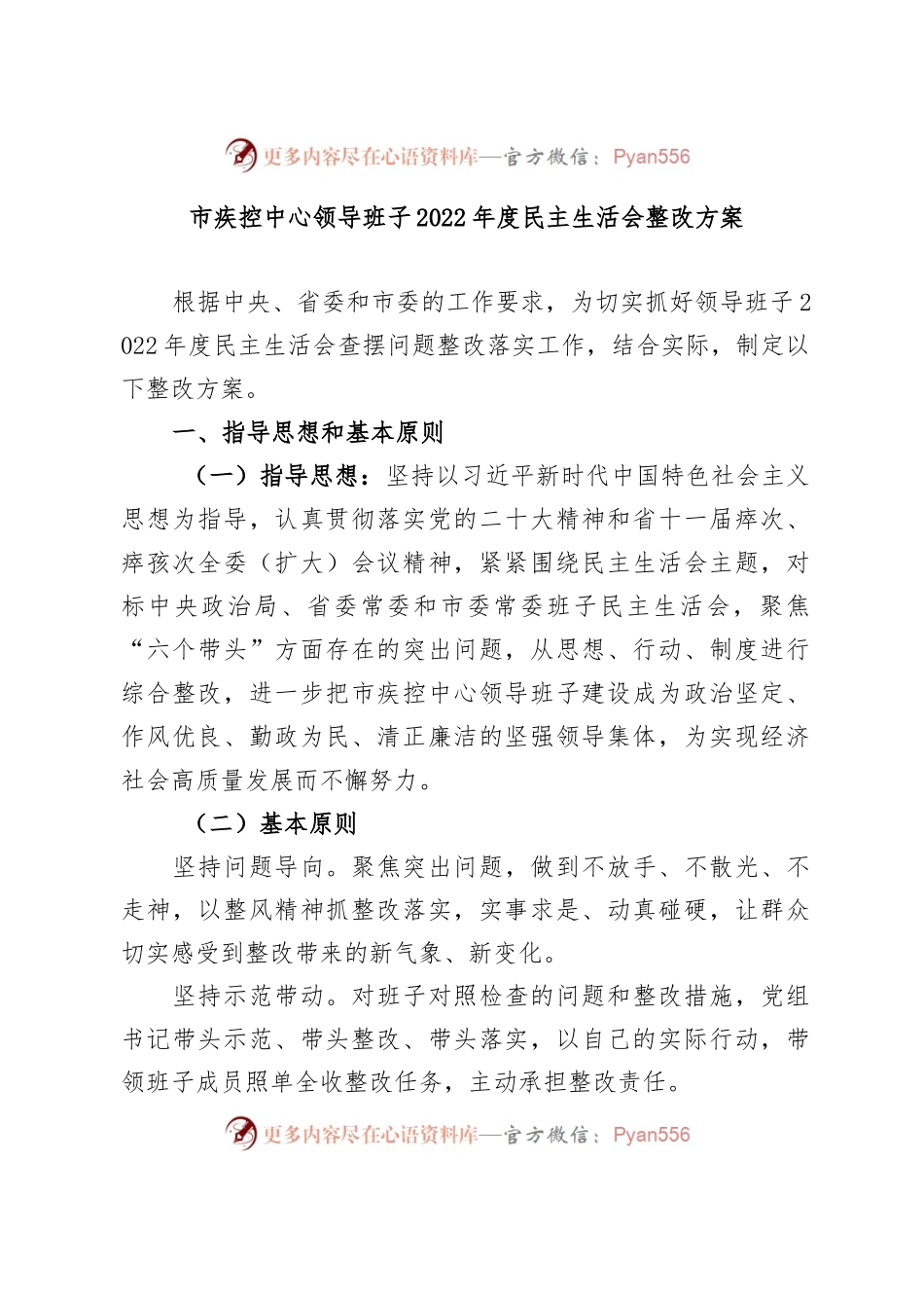 市疾控中心领导班子2022年度民主生活会整改方案.docx_第1页