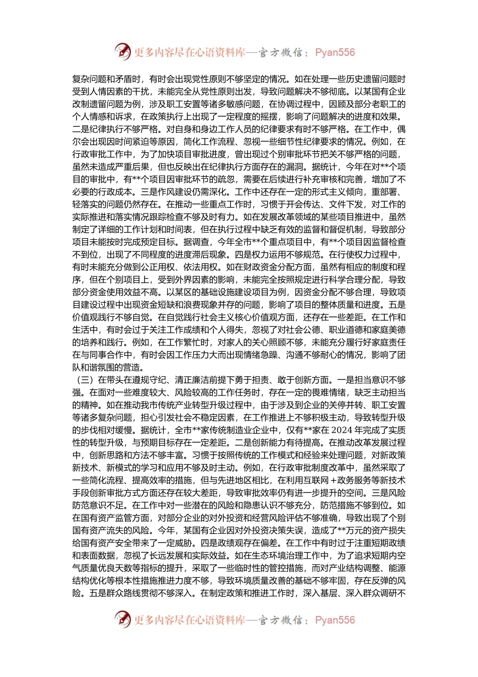 常务副市长关于2024年度民主生活会个人对照检视发言材料.docx_第2页
