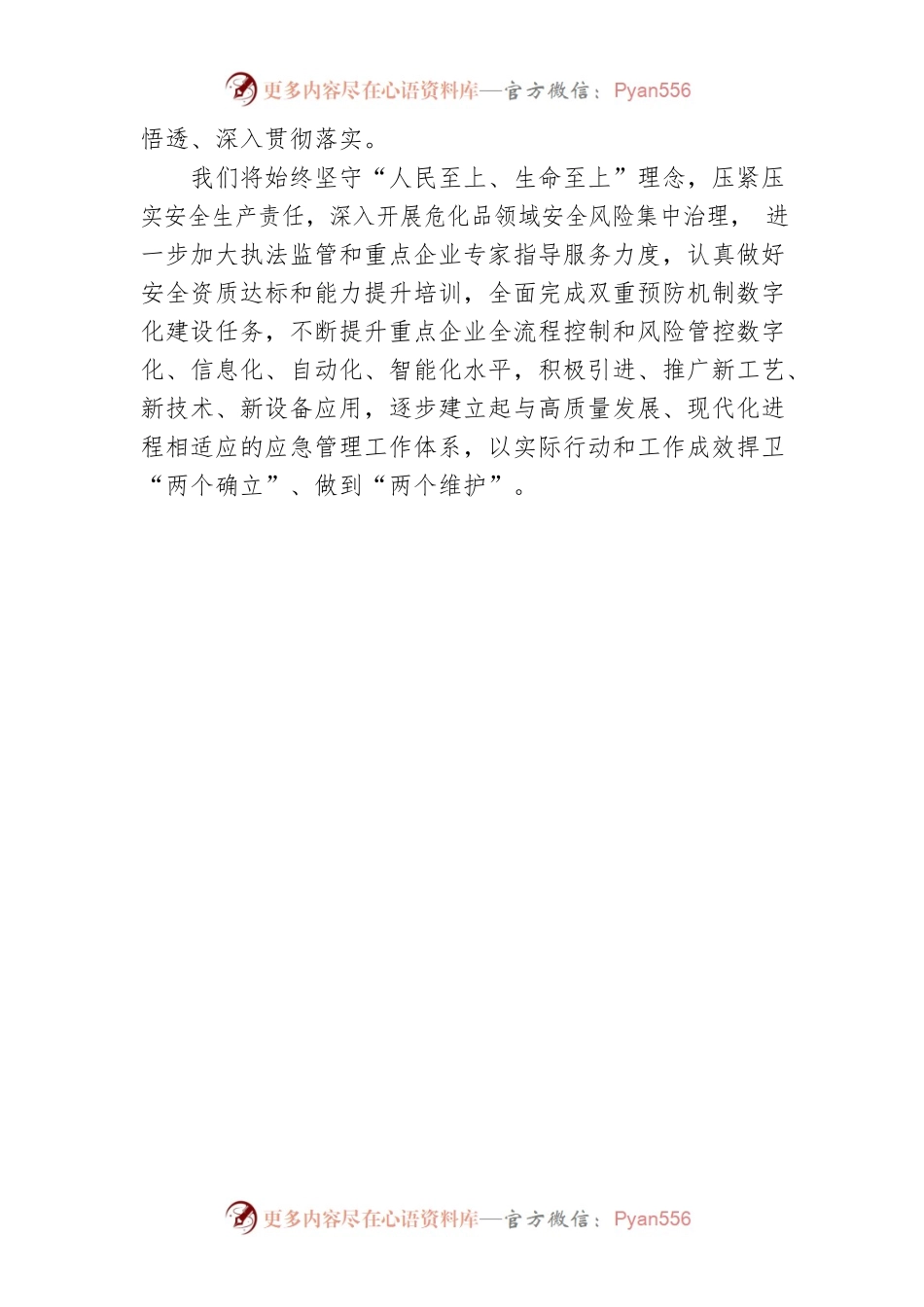 市应急管理局四级调研员学习贯彻党的二十大会议精神（20221022）.docx_第2页