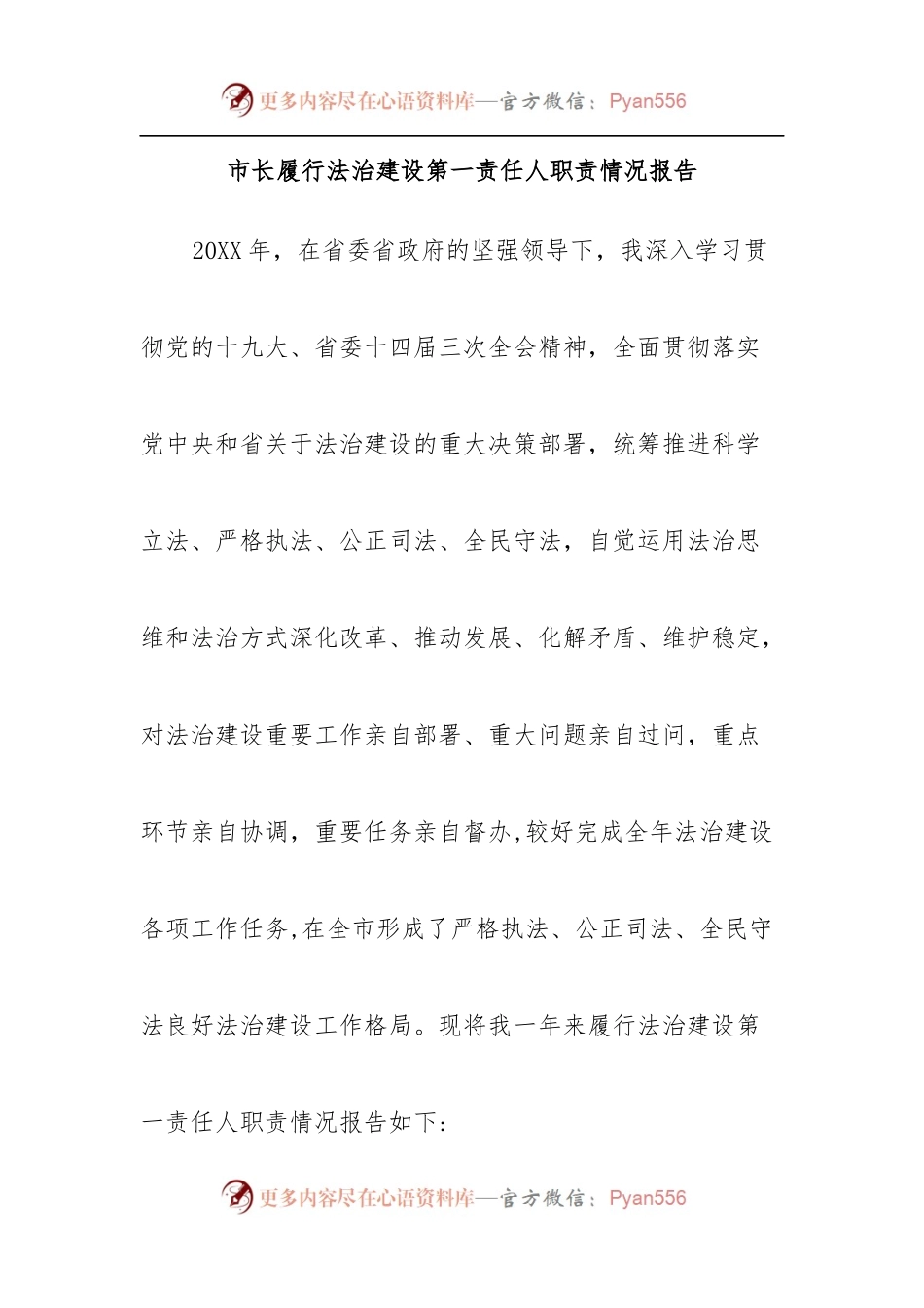 市长履行法治建设第一责任人职责情况报告.docx_第1页