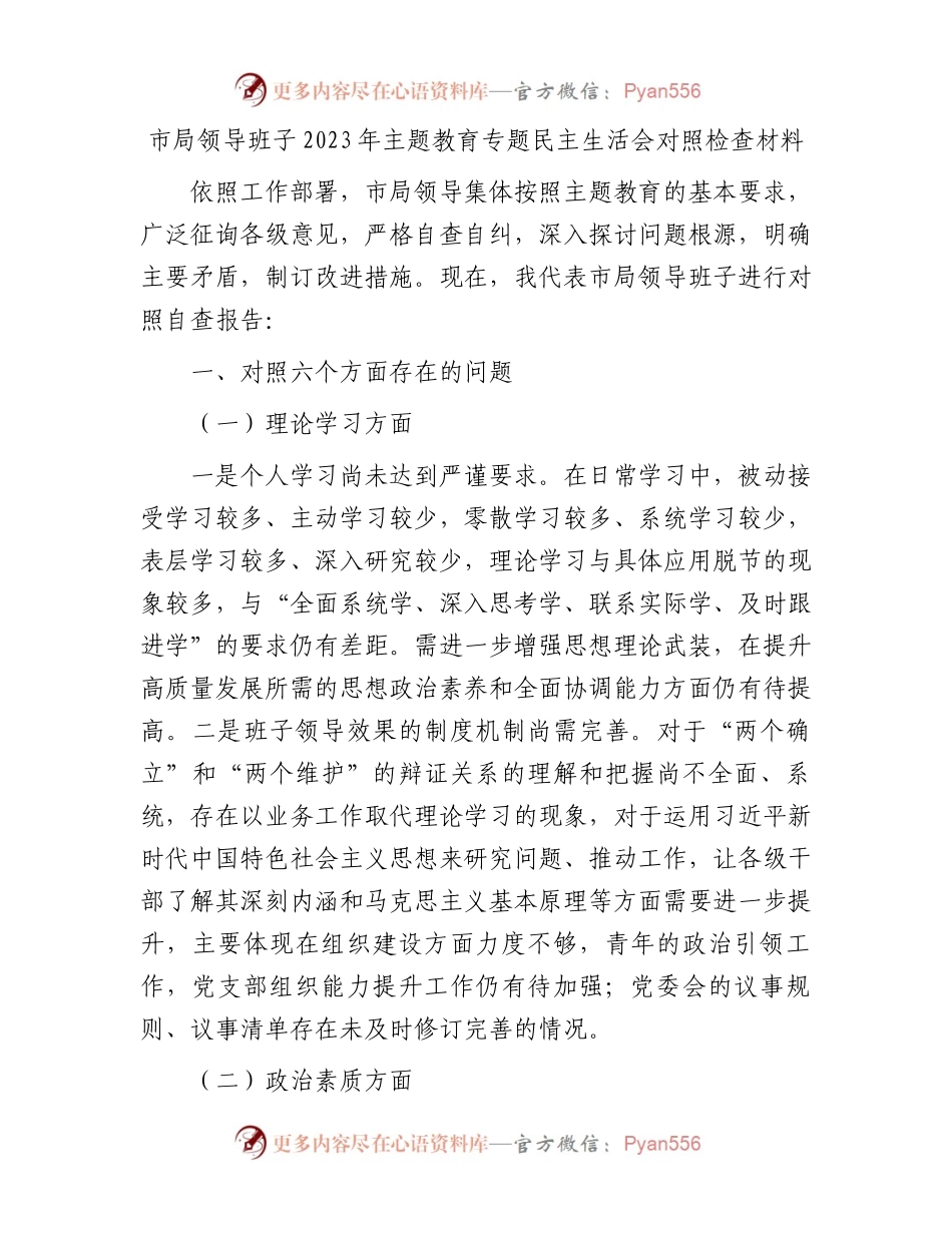 市局领导班子2023年主题教育专题民主生活会对照检查材料.docx_第1页