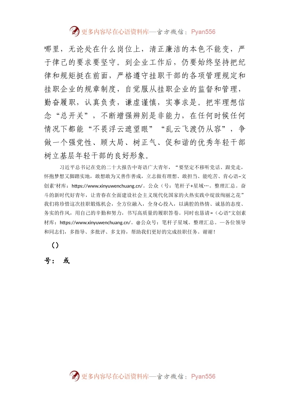 挂职干部表态发言.docx_第2页