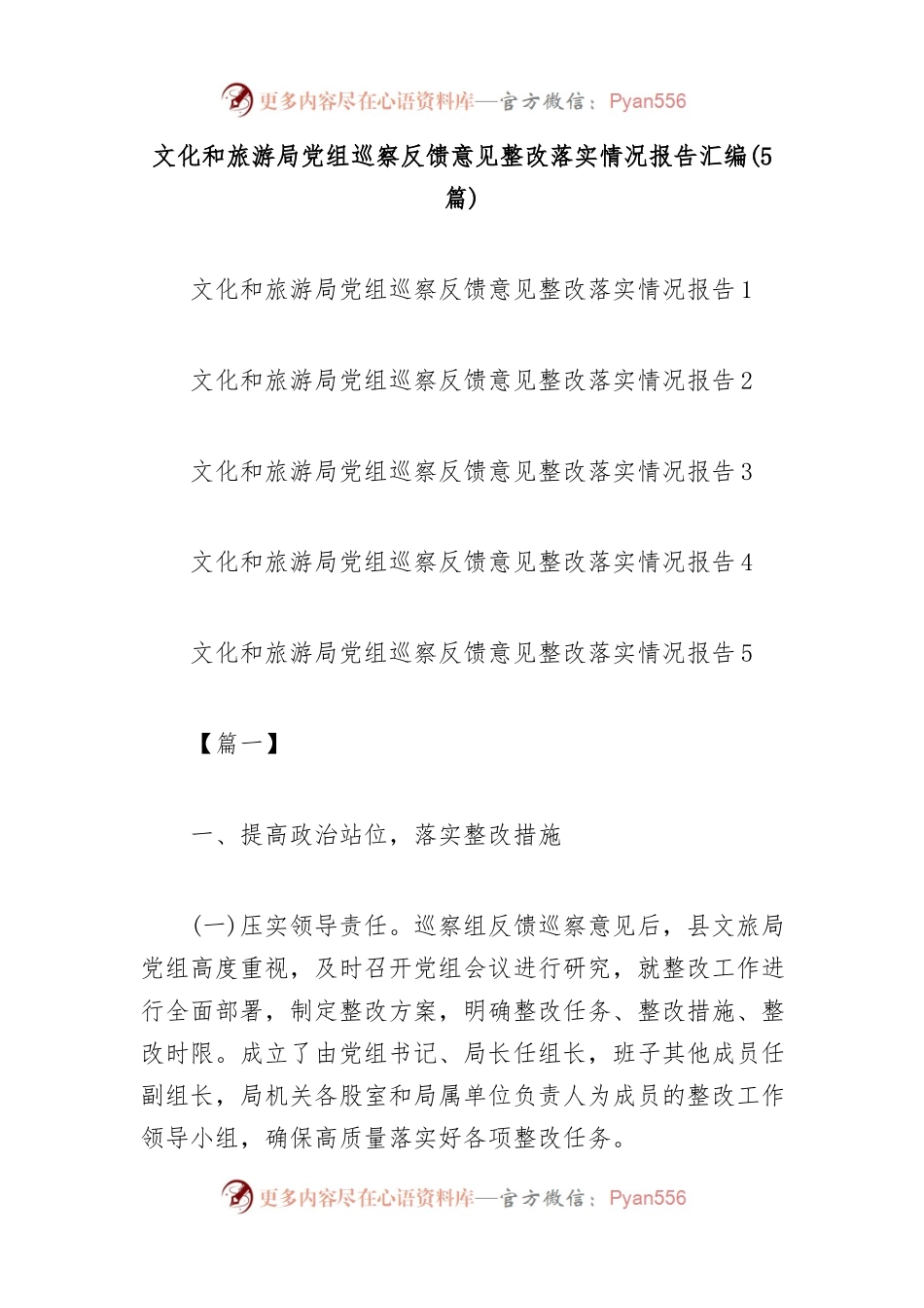 文化和旅游局党组巡察反馈意见整改落实情况报告汇编.docx_第1页