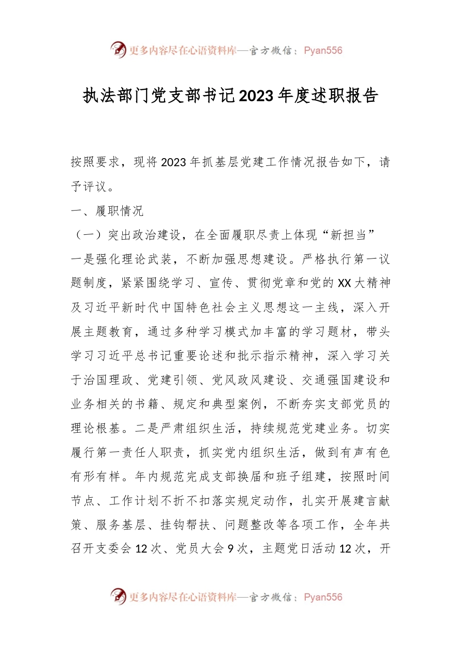 执法部门党支部书记2023年度述职报告.docx_第1页