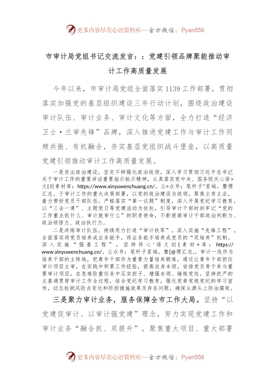 市审计局党组书记交流发言：：党建引领 品牌聚能 推动审计工作高质量发展.docx_第1页