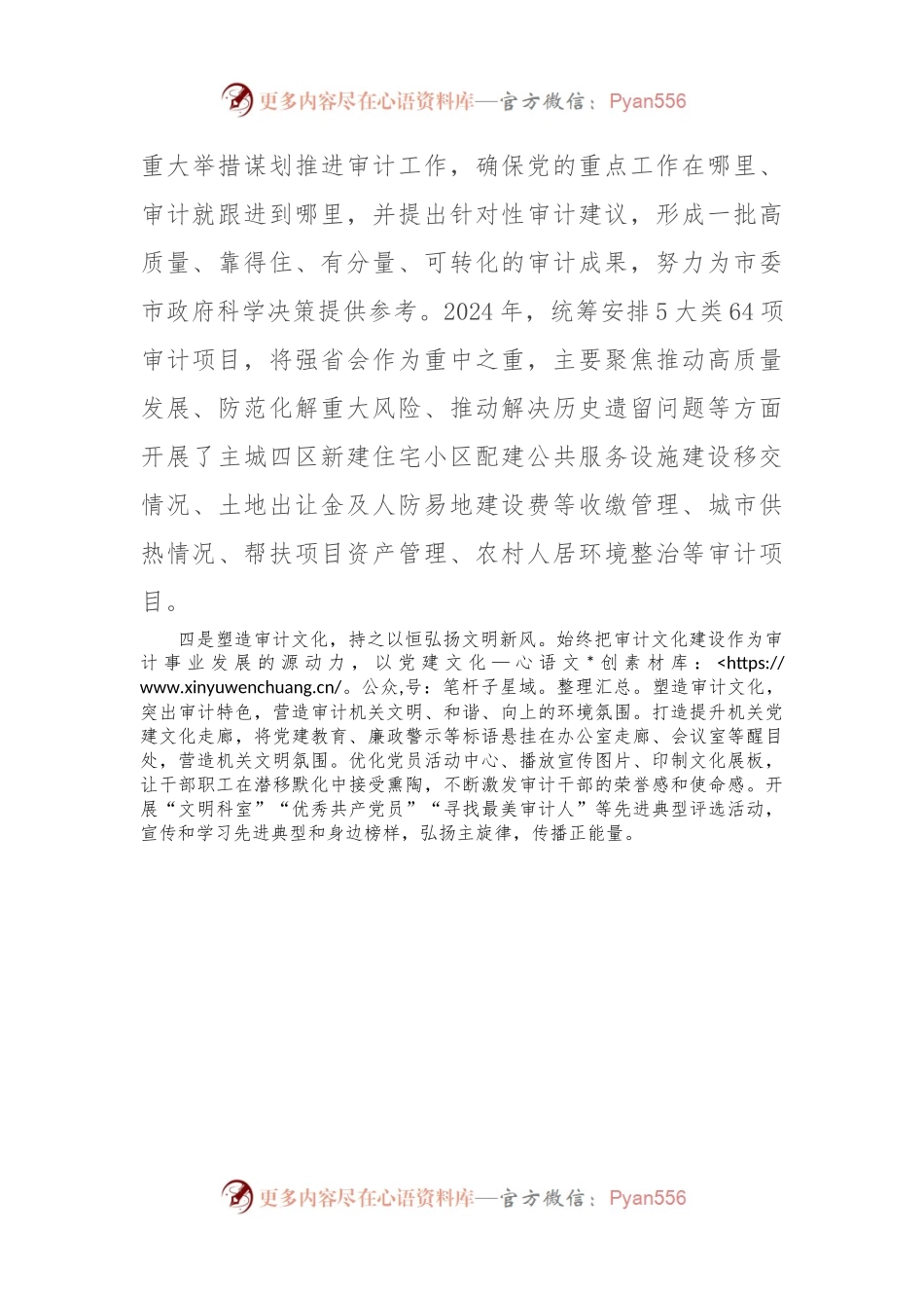市审计局党组书记交流发言：：党建引领 品牌聚能 推动审计工作高质量发展.docx_第2页