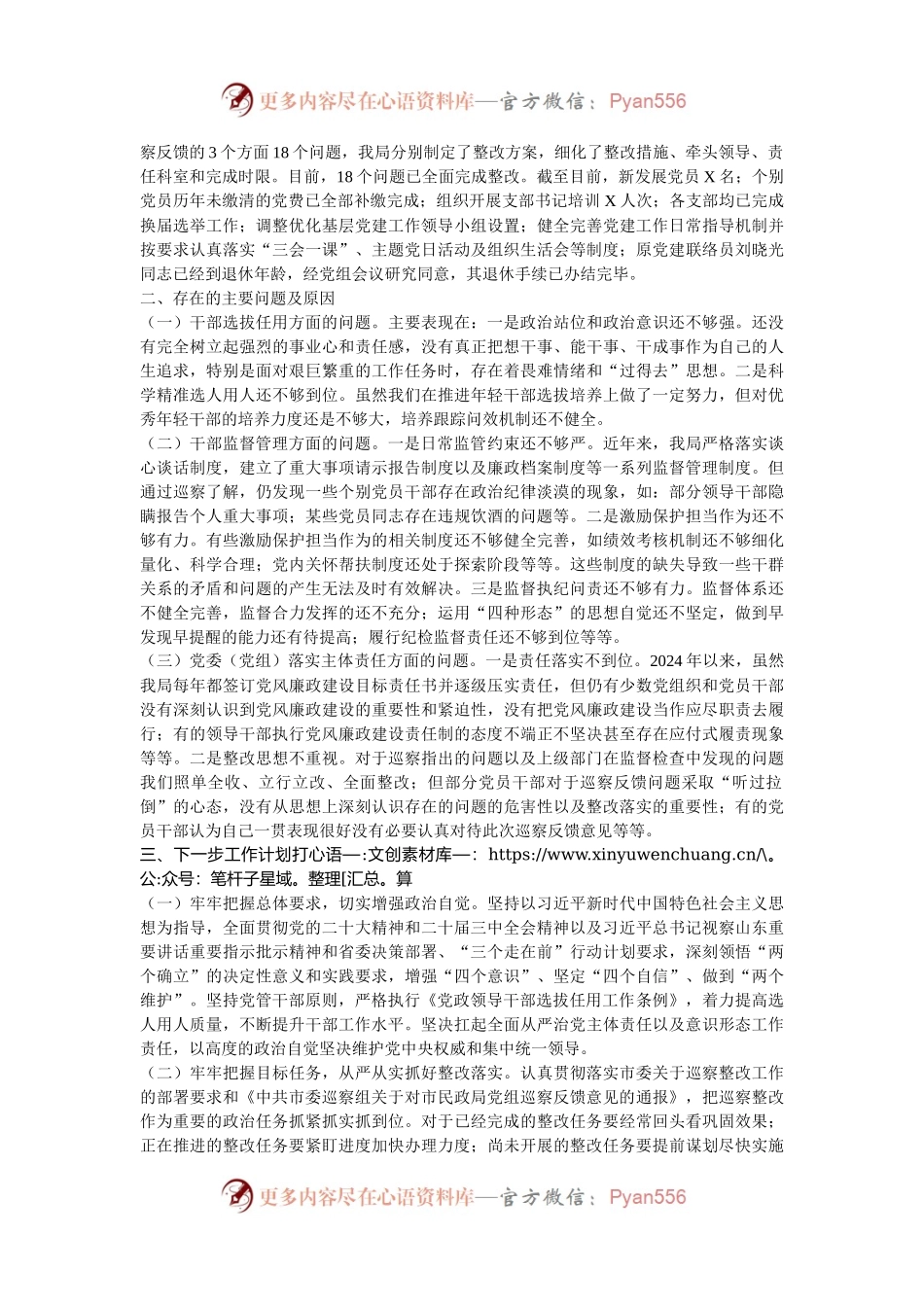 市委2024年选人用人巡察整改工作情况汇报.docx_第2页