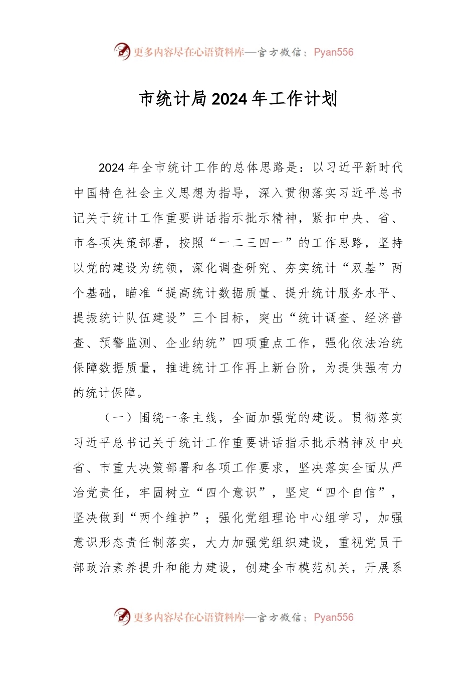 市统计局2024年工作计划.docx_第1页