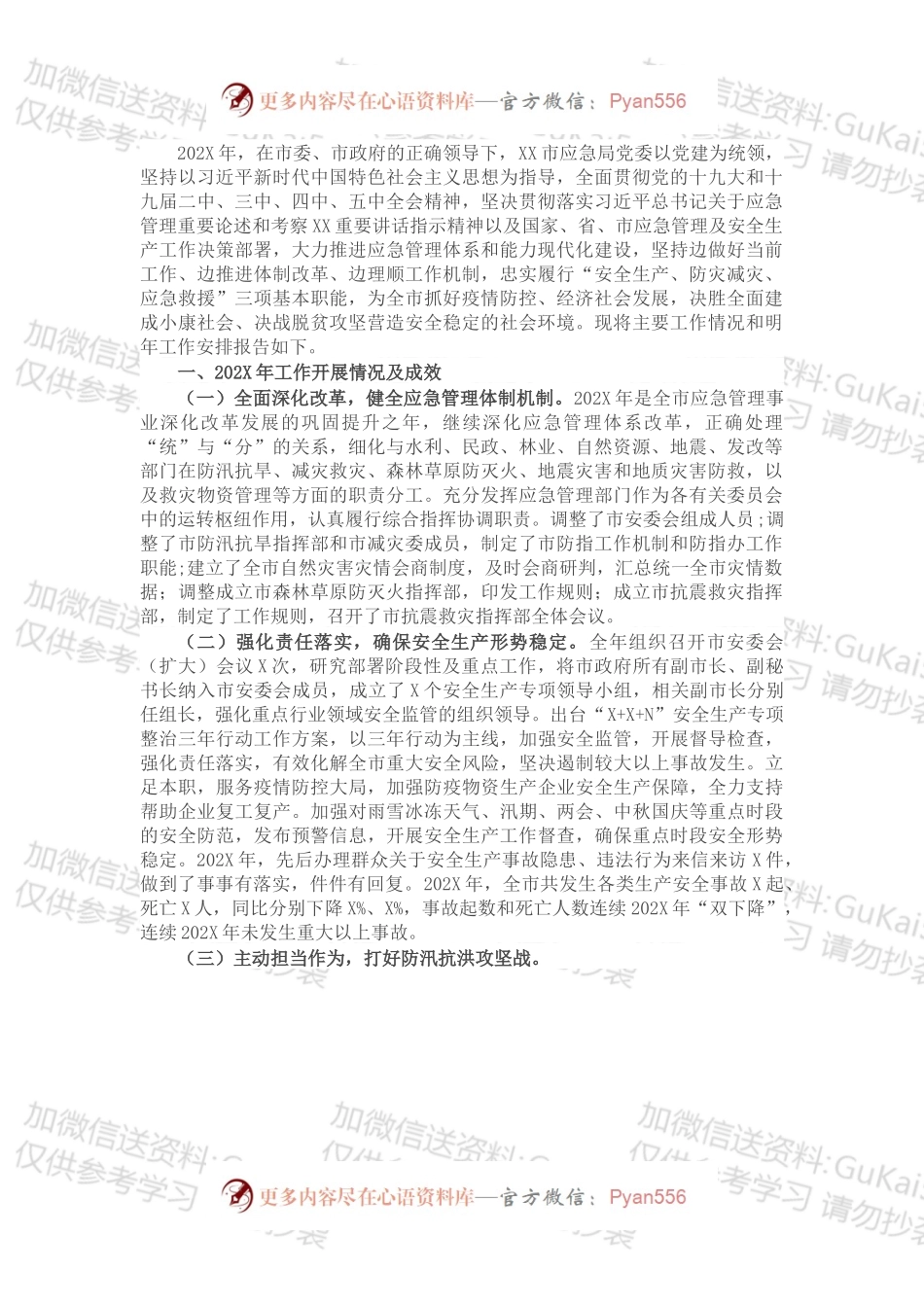 市应急管理局202X年度应急管理工作总结.docx_第1页