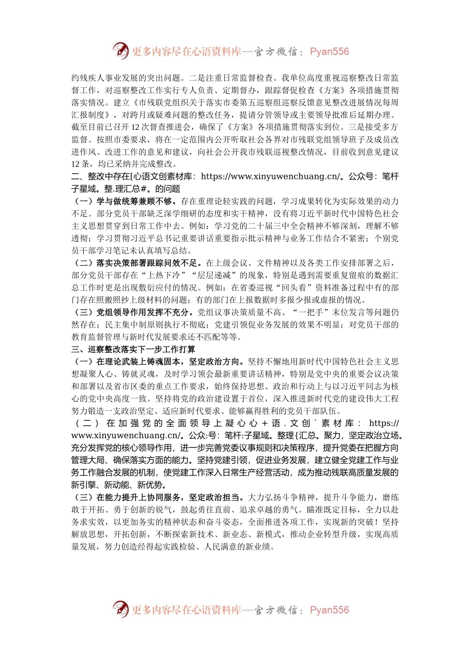 市残联2024年巡察整改工作总结.docx_第2页
