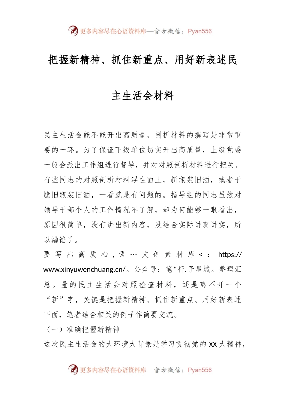 把握新精神、抓住新重点、用好新表述民主生活会材料.docx_第1页