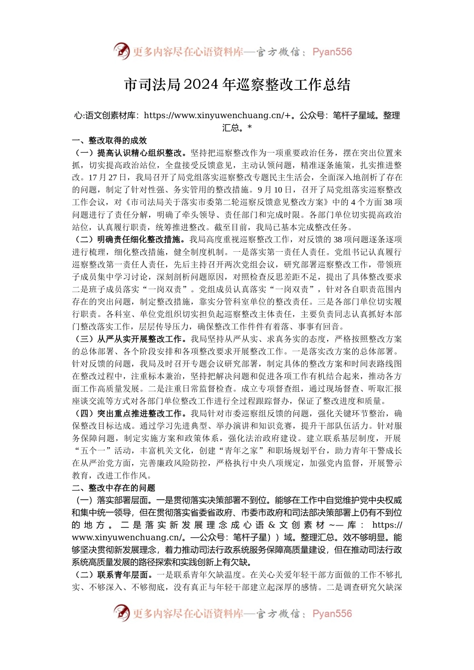 市司法局2024年巡察整改工作总结.docx_第1页