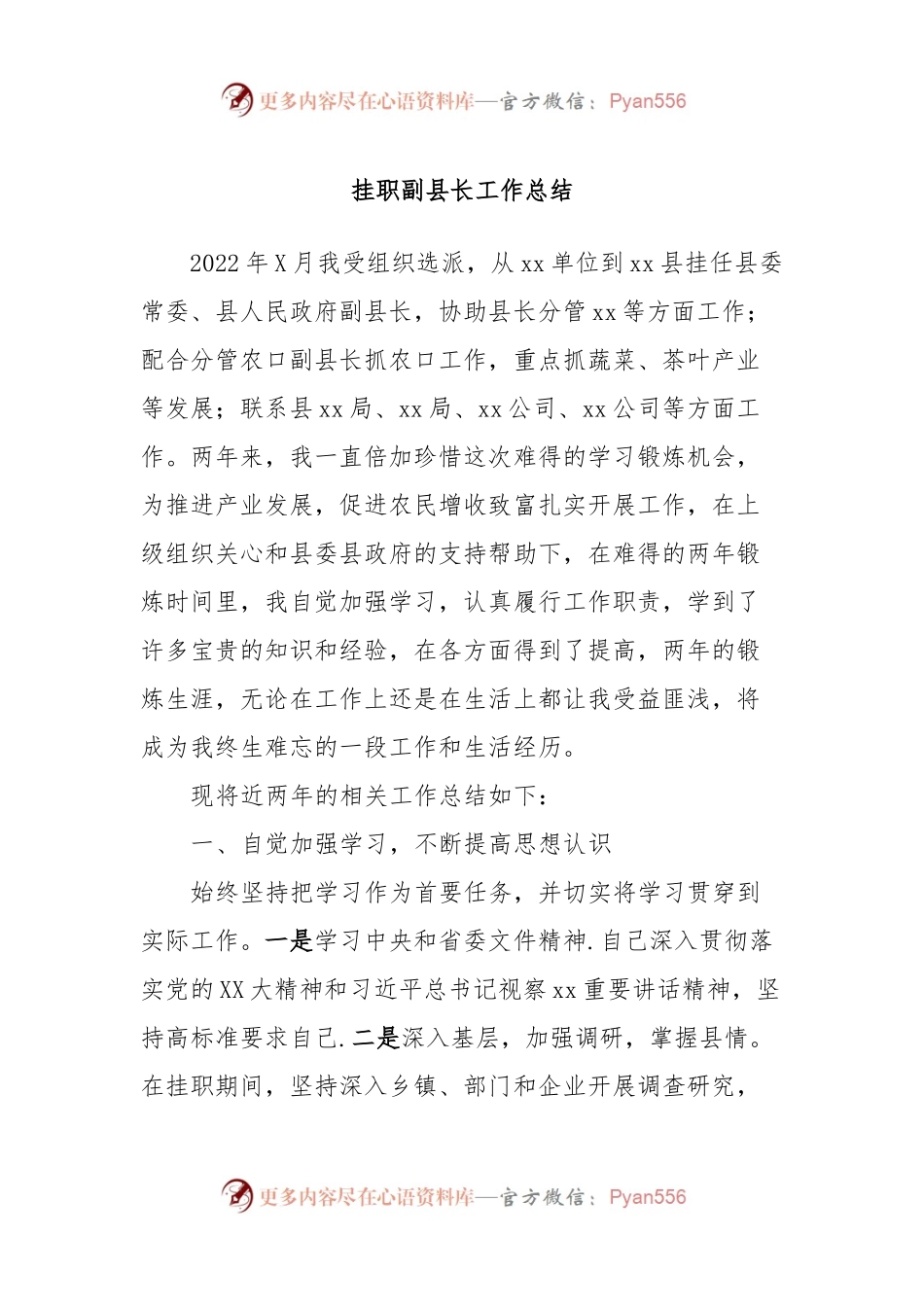 挂职副县长工作总结.docx_第1页